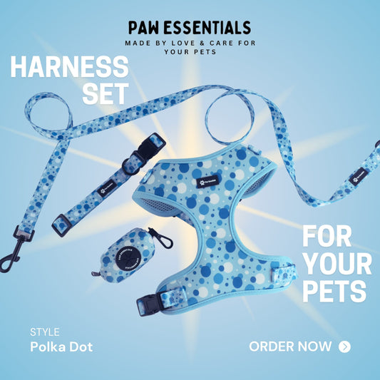 Stylish Baby Blue Polka Dot Harness Set by Paw Essentials, featuring a breathable harness and matching leash.